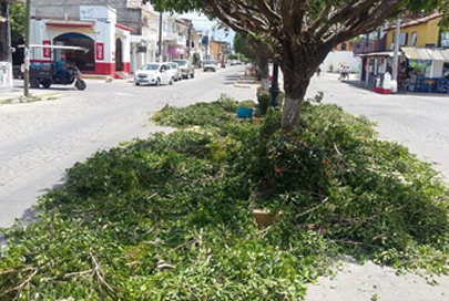 Trabaja CAC de San Juan de Abajo en Mejoras del Pueblo con Apoyo Ciudadano