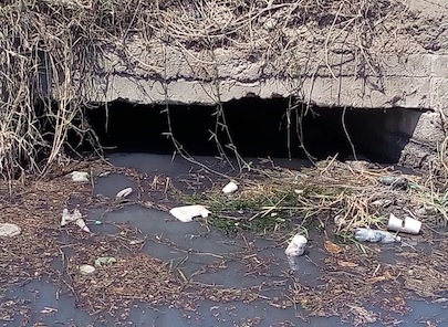 José Gómez y Oromapas no atienden canal de aguas negras de Mezcales