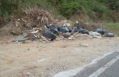 Basureros Clandestinos en Carretera Sayulita a Higuera Blanca