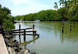 Reconocerán a Nuevo Vallarta como Destino Turístico Limpio La realidad es Otra