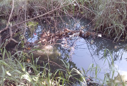 Reportan Agua Pestilente a un Costado de Carretera San Vicente